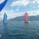 regata5.jpg