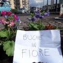 buche_in_fiore_ponte_della_maddalena_5.jpg
