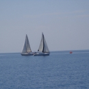 regata_delle_torri_sracene_135.jpg