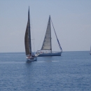 regata_delle_torri_sracene_142.jpg