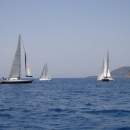 regata_delle_torri_sracene_331.jpg