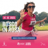 1_bosco_rosa.jpg