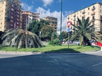 napoli_piazza_degli_artisti_aiuola_con_le_palme.jpg