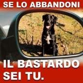 se_lo_abbandoni_il_bastardo_sei_tu.jpg