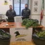 Sequestro Guardia di Finanza 