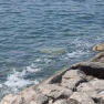 spiagge_lido_coroglio3.jpg